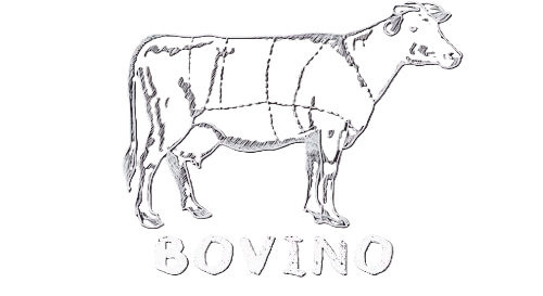 Macinato Di Bovino 500 gr in Offerta  Online fino a casa tua! Gusta su  Norcineria Di Cintio